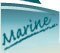 Follow through to boats, outboard engines, water skis and marine accessories