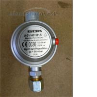 GOK 50mbar Regulator