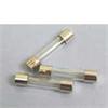 Glass Fuses
