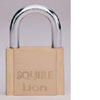 LN4S Lion 40mm Rustproof Solid brass, general chandlery, marine accessories