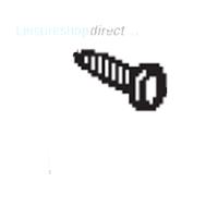 Dometic Bolt, Torx B4,8x19 - Dometic RMt7651l 
