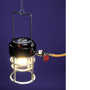 Bullfich Handlight