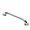 Stainless Steel Grab Bar