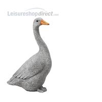 Goose Down - Stone effect