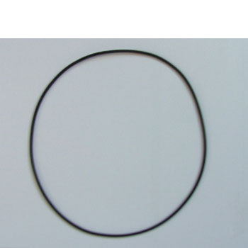 Large 'O' ring seal Carver Water Heaters