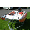 Thundercat Orange/White