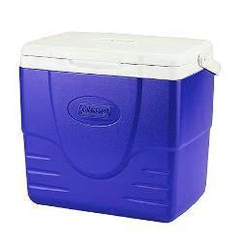 Coleman Excursion 16 Coolbox