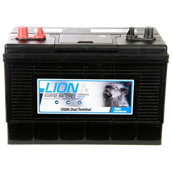 Lion Leisure Battery 100Ah Sealed Lead Acid (DC31MF) image 1
