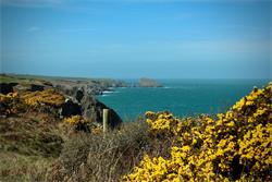 Pembrokeshire National Park Camping Tips