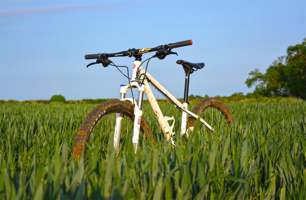 Bike in a field