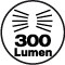 300 Lumen