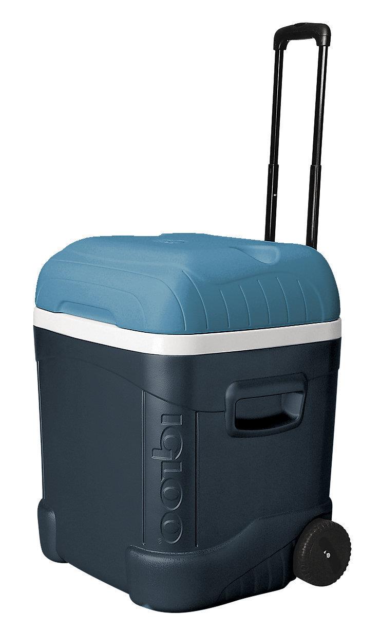 igloo maxcold cube
