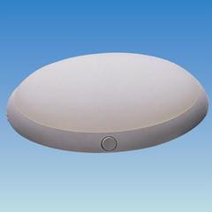 Coronet LED Light