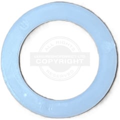 Plastic Ring for Reich Comfort pivot part pos 37