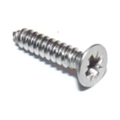 Awning Rail Screws (10pk)