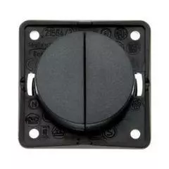 Berker 12v twin switch - anthracite