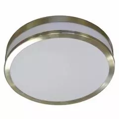 Ceiling Light Chrome Band