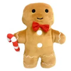 Ginger Fred