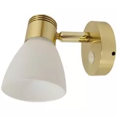 Gold LED Reading Light with Opal Glass (Cool White / Touch Dimmable)