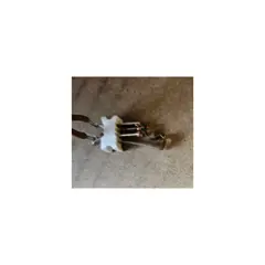 Microswitch for Reich Deluxe Taps