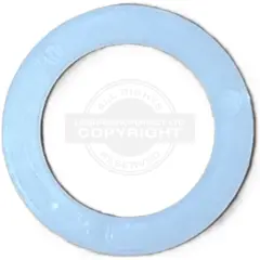 Plastic Ring for Reich Comfort pivot part pos 37