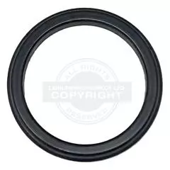 Reich Inner Lip Ring 38x29.3x4 for Charisma Tap