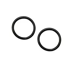 Whale Watermaster O ring