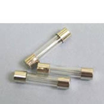 10 Amp Glass Fuse 32mm