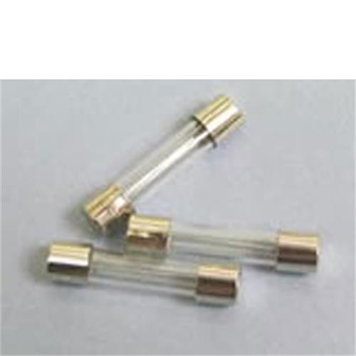 10 Amp Glass Fuse 32mm | Glass Fuses | Leisureshopdirect