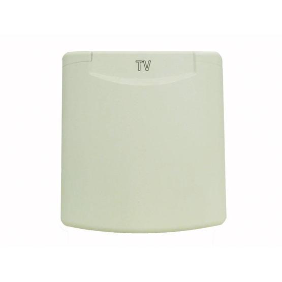 FAWO Multi-Function Flush Inlet 13 UK Socket image 1