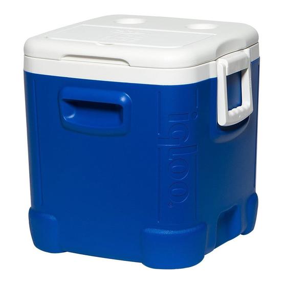 Igloo Ice Cube 48 Passive Coolbox / Cooler image 1