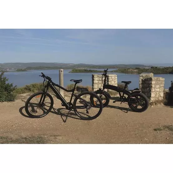 Narbonne EZA Energie Off Road Electric Mountain Bike image 4