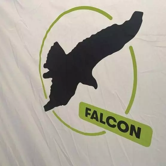 Quest Falcon air 300 drive away awning (low) image 3