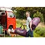 Duvalay Compact 4.5 Tog Sleeping Bag (Plum) image 3