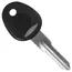 FAP System Grey Key Blank image 1