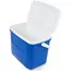 Igloo Laguna 48QT (54.5 L) Cool Box - Blue image 5