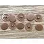 Pozi screw covers - Tan colour image 1