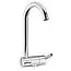 Reich Trend B single lever tap with metal spout image 1