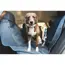 Ruffwear Dirtbag™ Dog Car Seat Cover in Basalt Grey (One Size) image 5