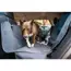 Ruffwear Dirtbag™ Dog Car Seat Cover in Basalt Grey (One Size) image 9
