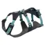 Ruffwear Flagline™ Dog Harness with Handle in Basalt Grey (X Small) image 1