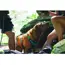 Ruffwear Flagline™ Dog Harness with Handle in Basalt Grey (X Small) image 6