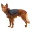 Ruffwear Front Range™ Dog Day Pack in Basalt Grey (Medium) image 7