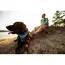 Ruffwear Front Range® Dog Harness - Coastal Mountains Print (X Small) image 6