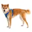 Ruffwear Front Range® Dog Harness - Coastal Mountains Print (X Small) image 5