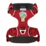 Ruffwear Front Range® Dog Harness in Red Canyon (Medium) image 4