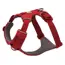 Ruffwear Front Range® Dog Harness in Red Canyon (X Small) image 1