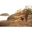 Ruffwear Front Range™ Dog Lead in Basalt Grey (One Size) image 4