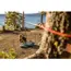Ruffwear Knot-a-Hitch™ in Red Clay (One Size) image 9