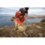 Ruffwear Palisades™ Dog Backpack in Red Sumac (Medium) image 3